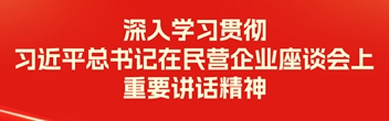 深入學(xué)習(xí)貫徹習(xí)近平總書(shū)記在民營(yíng)企業(yè)座談會(huì)上重要講話(huà)精神