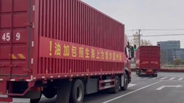 那只“跳進(jìn)”愛心蔬菜包的手機(jī)咋樣啦？請(qǐng)聽刷屏“奇遇”后續(xù)……