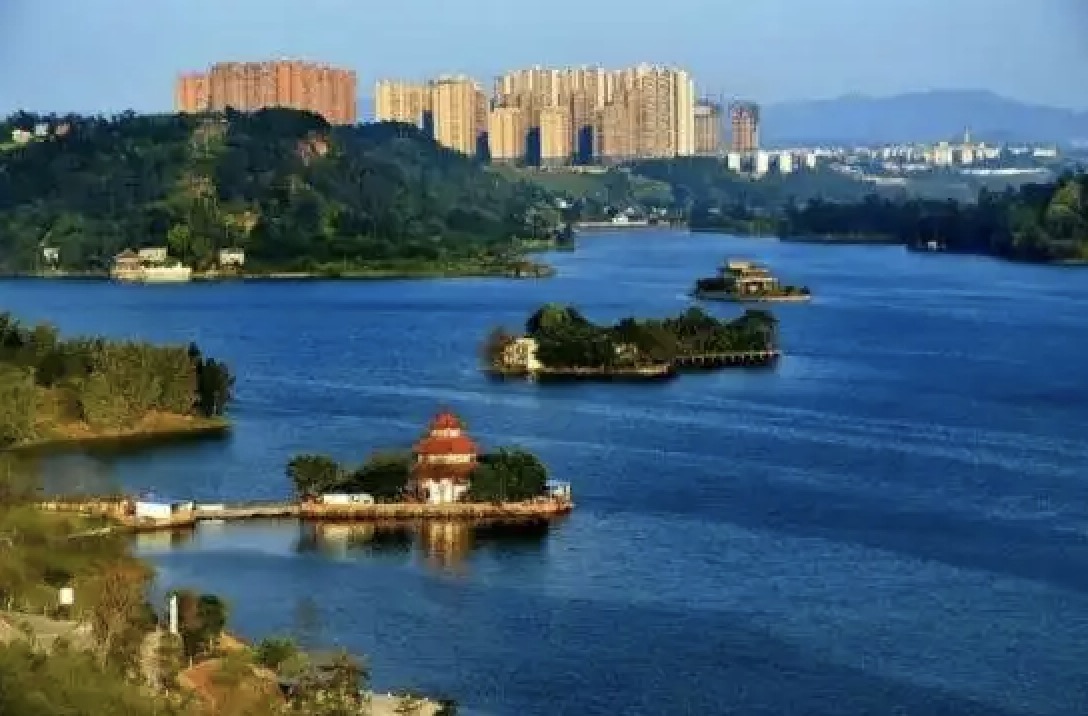 內(nèi)江市隆昌市探索政務(wù)服務(wù)“四心”解法，助力“銀齡族”跨越“數(shù)字鴻溝”