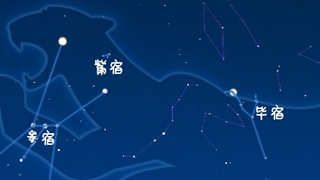 虎年來了，抬頭尋找天上的“白虎”