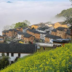 微信分享圖