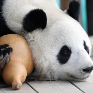 微信分享圖