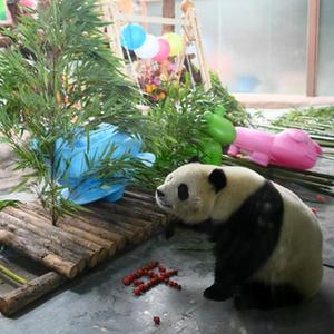 微信分享圖