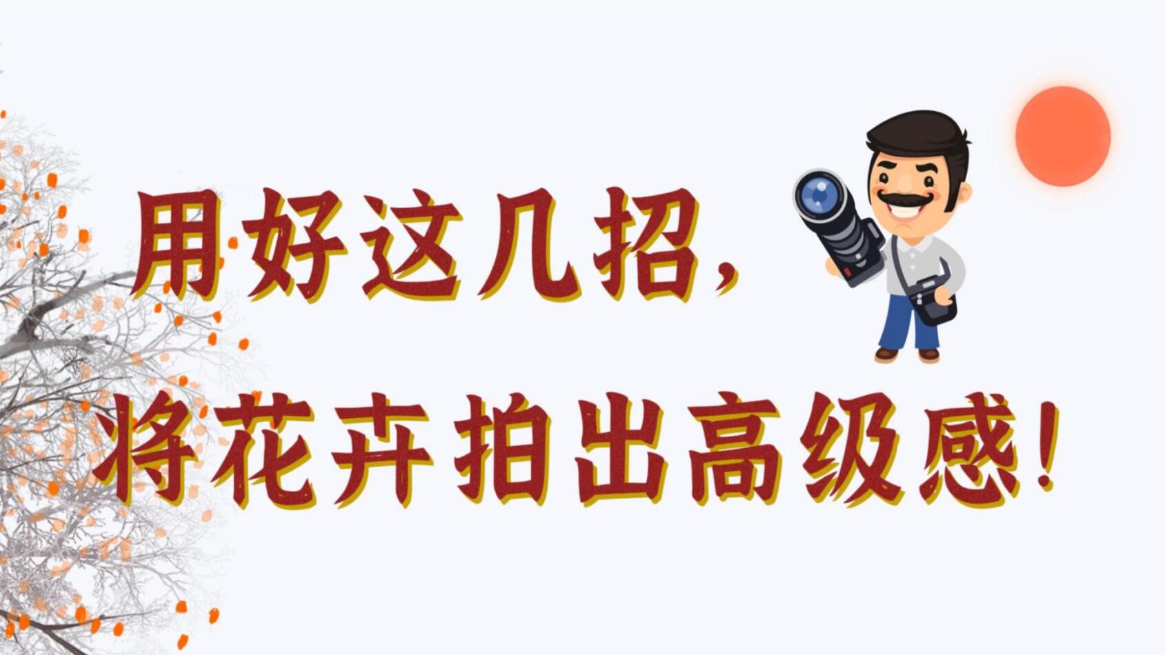 【光影輕課堂】用好這幾招，將花卉拍出高級感！