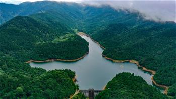江河奔騰看中國(guó)丨綠色閩江 清新福建