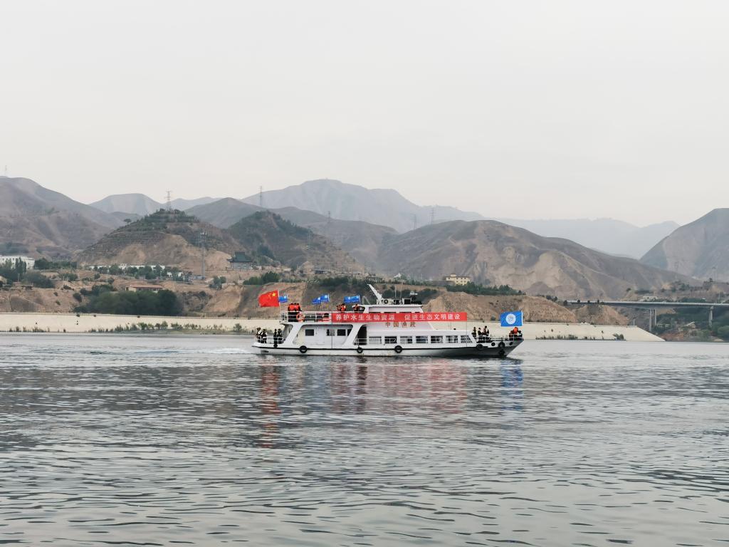 甘肅向劉家峽庫(kù)區(qū)放流鰱魚、鳙魚200萬(wàn)尾