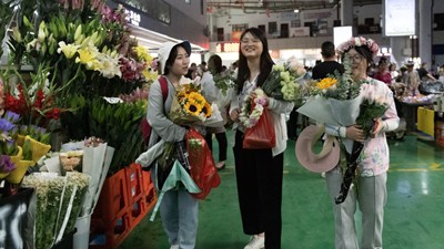 第1視點(diǎn)丨“云花”，事業(yè)興旺生活美