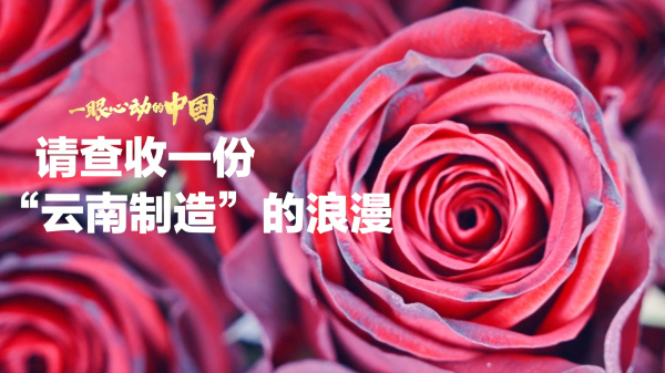 一眼心動(dòng)的中國丨請查收一份“云南制造”的浪漫