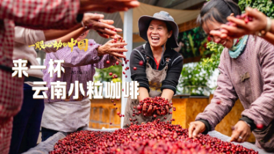一眼心動(dòng)的中國丨來一杯云南小?？Х?></a> <span><img src=