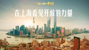 一眼心動(dòng)的中國丨在上海看見開放的力量