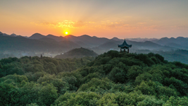 提升生態(tài)碳匯能力，植樹造林怎么干？
