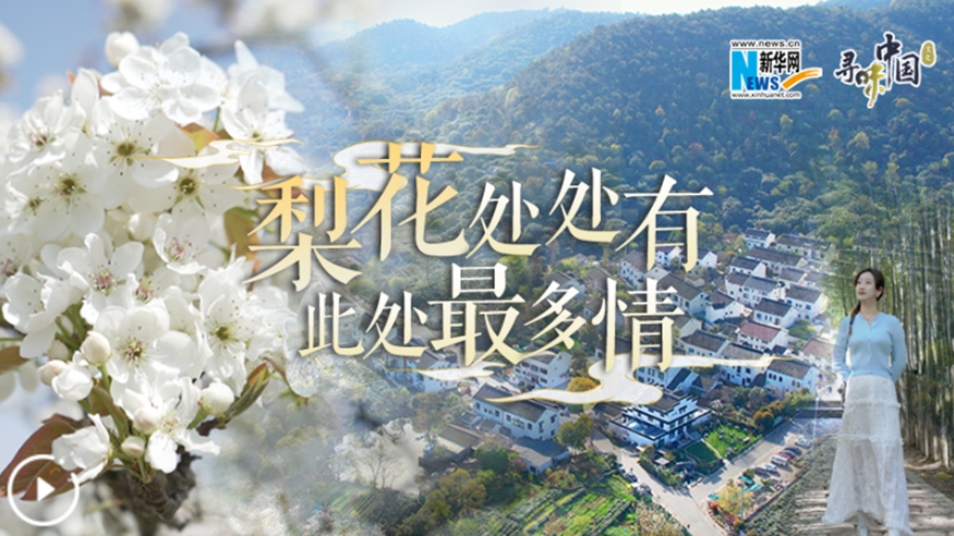 梨花處處有，此處最多情