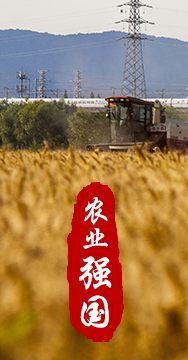農(nóng)業(yè)強國是社會主義現(xiàn)代化強國的根基。