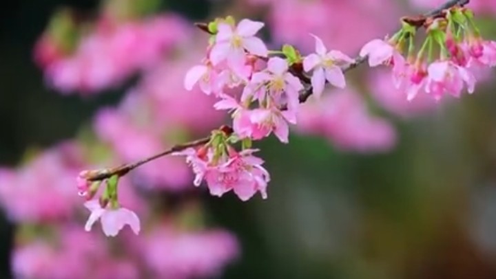 春分時節(jié)，關(guān)注身體健康