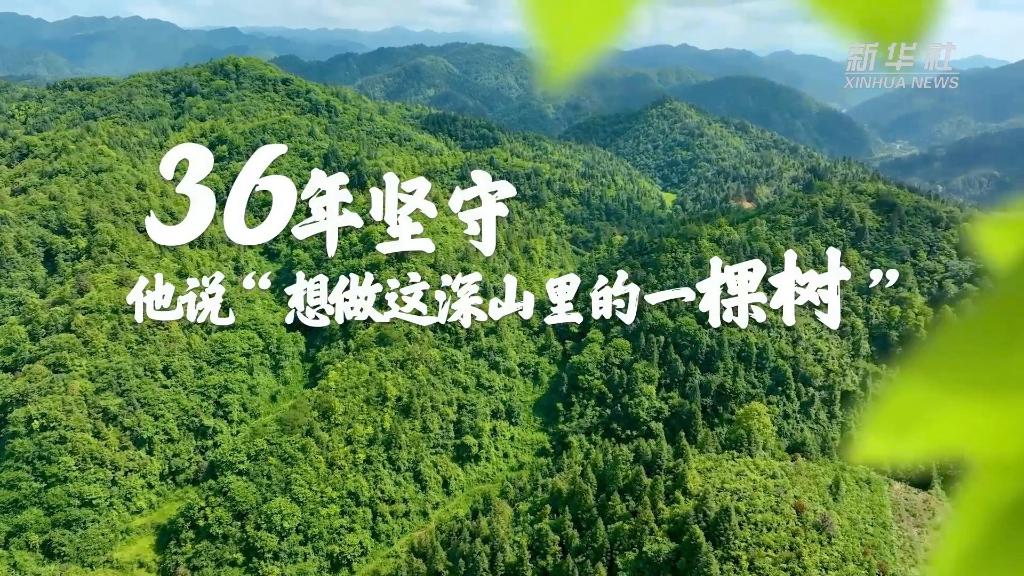 36年堅守！他說“想做這深山里的一棵樹”