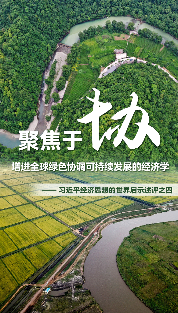 聚焦于“協(xié)”，增進(jìn)全球綠色協(xié)調(diào)可持續(xù)發(fā)展的經(jīng)濟(jì)學(xué)