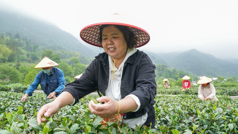 守“綠”換“金”！大別山區(qū)“兩山”實(shí)踐創(chuàng)新基地觀察