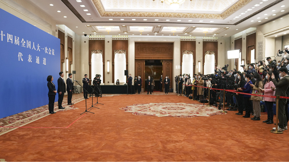 十四屆全國人大一次會(huì)議第二場“代表通道”