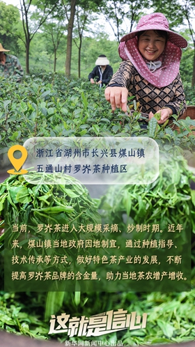 這就是信心丨應(yīng)季收獲忙！看田間地頭上的增收新路子