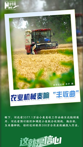 這就是信心｜好一派豐收景象！