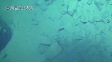 8919米！我國科學(xué)家首次探底雅浦海溝 成功采集深淵樣本