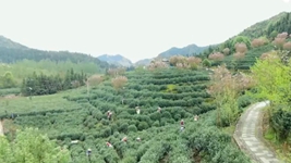 萬象“耕”新！碼住人間四月天